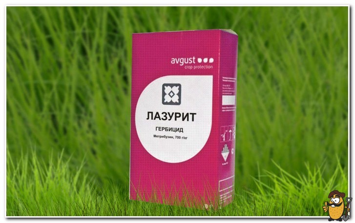 lasurit