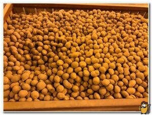 хранение картофеля