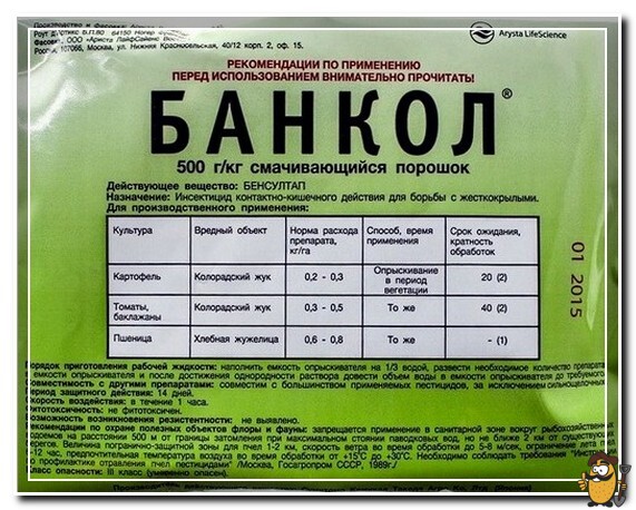 банкол