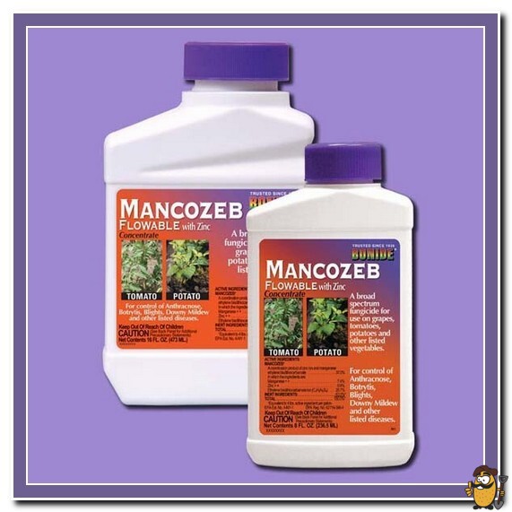 fungicide-Mancozeb