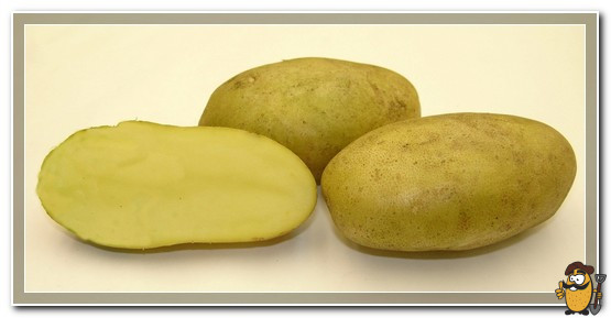 limonka-kartoshka