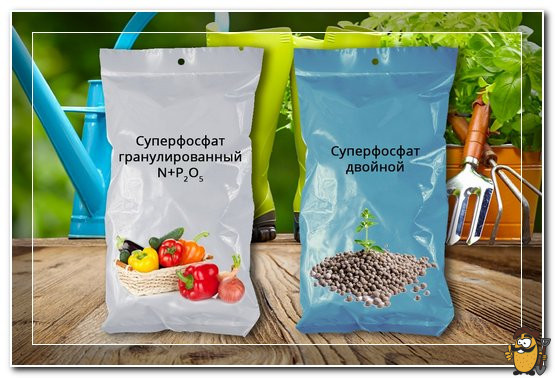 суперфосфат