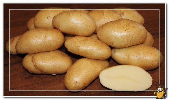картофель