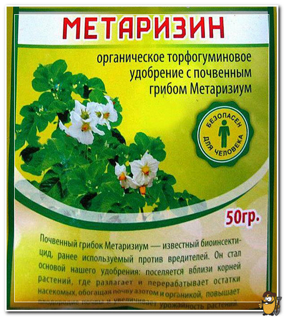 метаризин