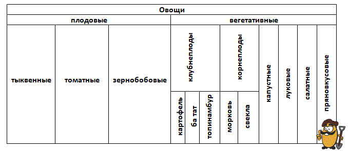 таблица картофель