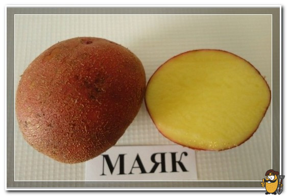 маяк