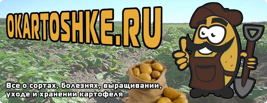 Сайт о картофеле